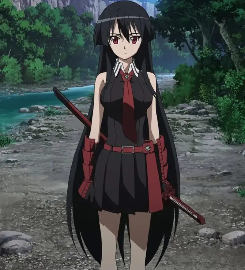Ảnh Akame 4