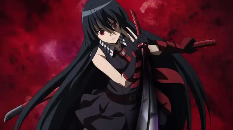 Ảnh Akame 5