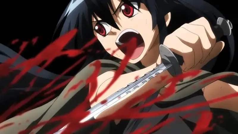 Ảnh Akame 6