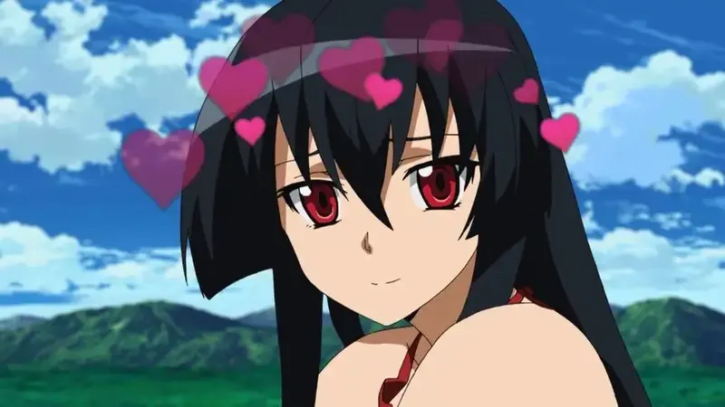 Ảnh Akame 10