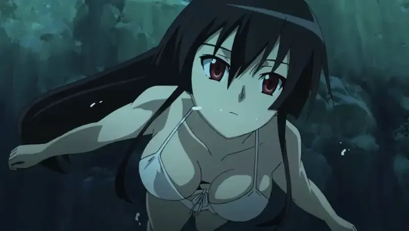 Ảnh Akame 11