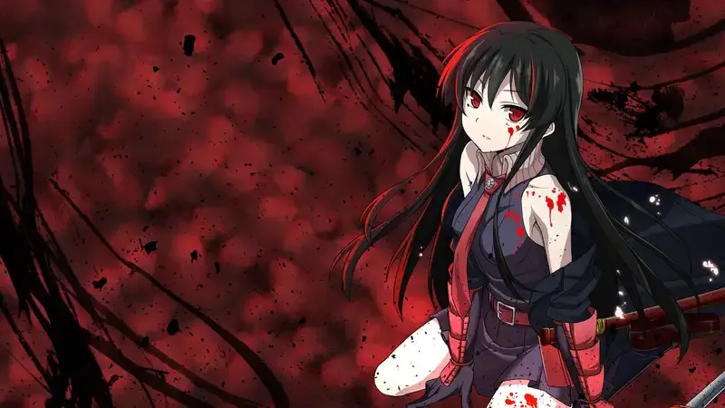 Ảnh Akame 13