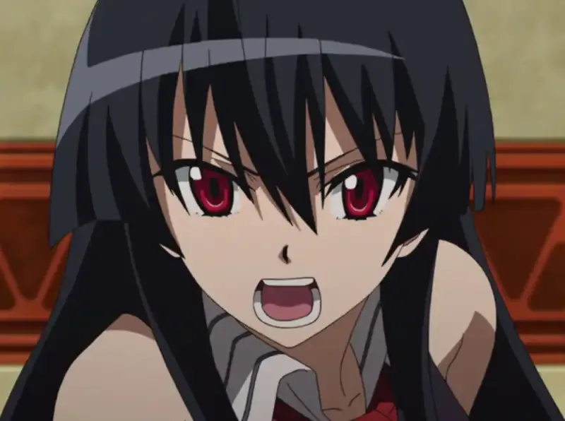 Ảnh Akame 14