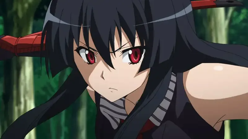 Ảnh Akame 17