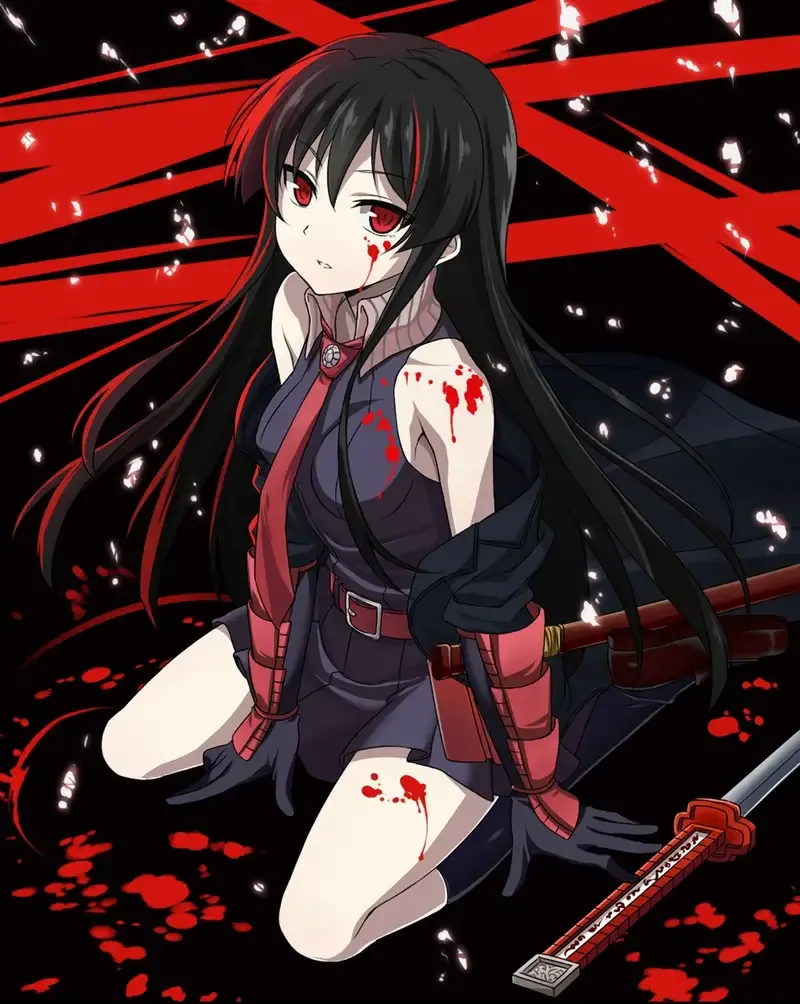 Ảnh Akame 23