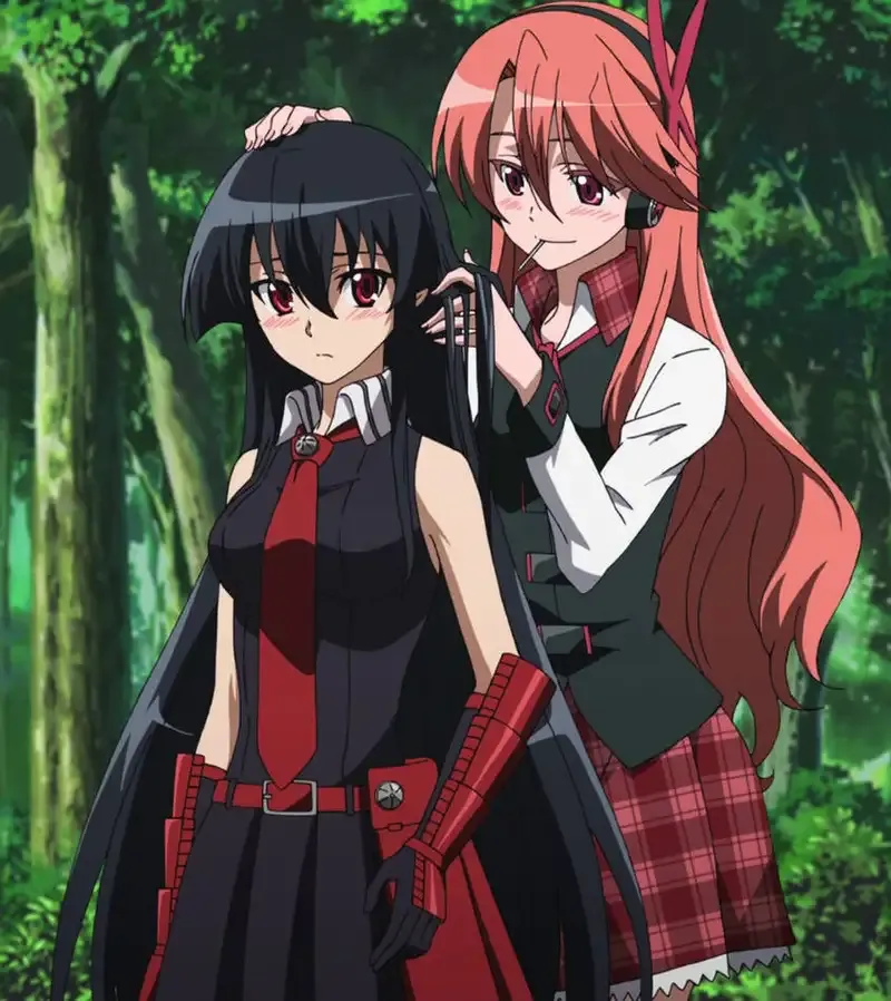 Ảnh Akame 28