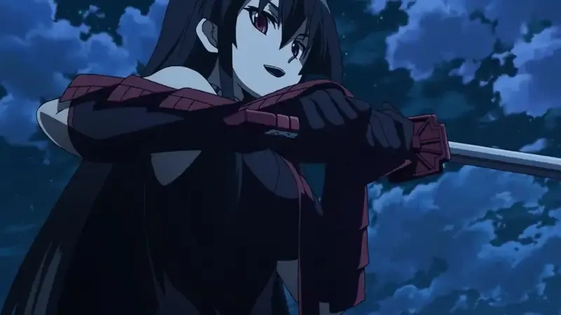 Ảnh Akame 40