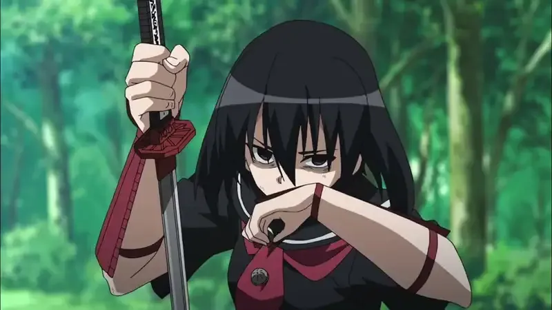 Ảnh Akame 41