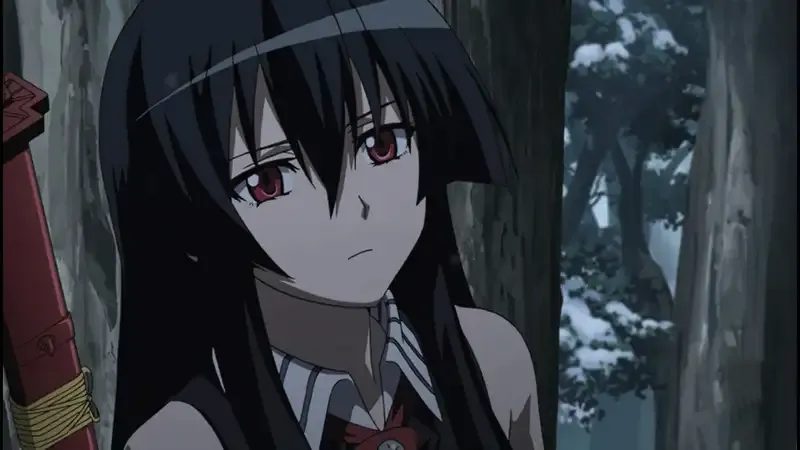 Ảnh Akame 44