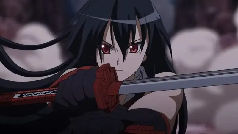 Ảnh Akame 47