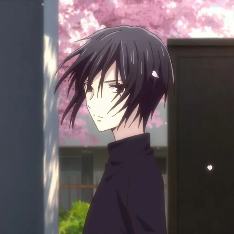Akito Sohma 16