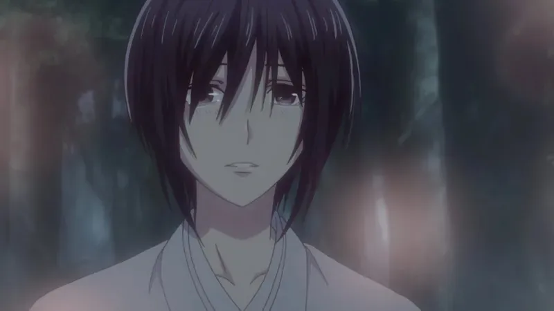 Akito Sohma 28