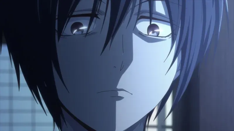 Akito Sohma 29