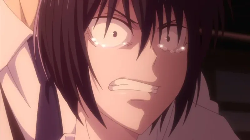 Akito Sohma 30