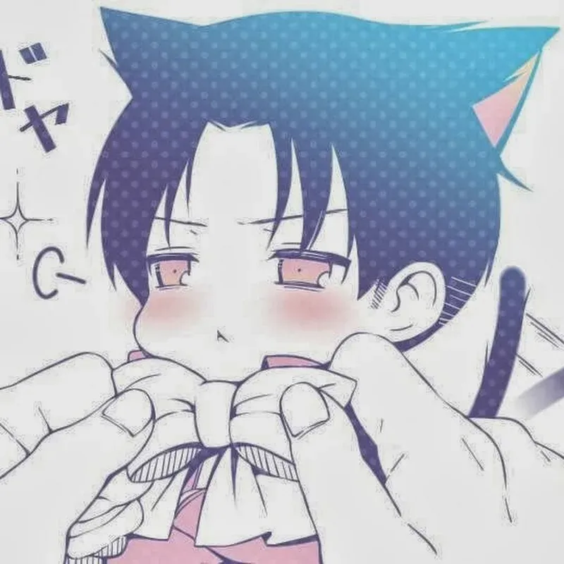 Ảnh Levi Ackerman chibi 28