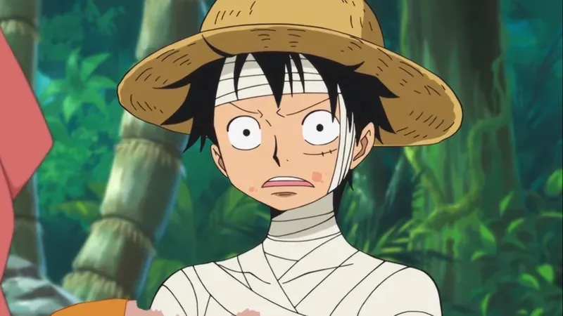 Hình ảnh Luffy  10