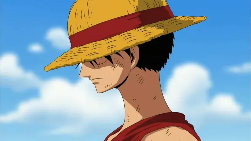 Hình ảnh Luffy  12