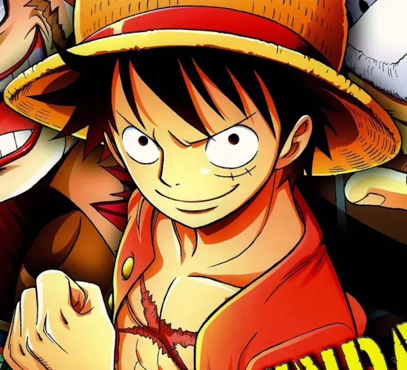 Hình ảnh Luffy  13