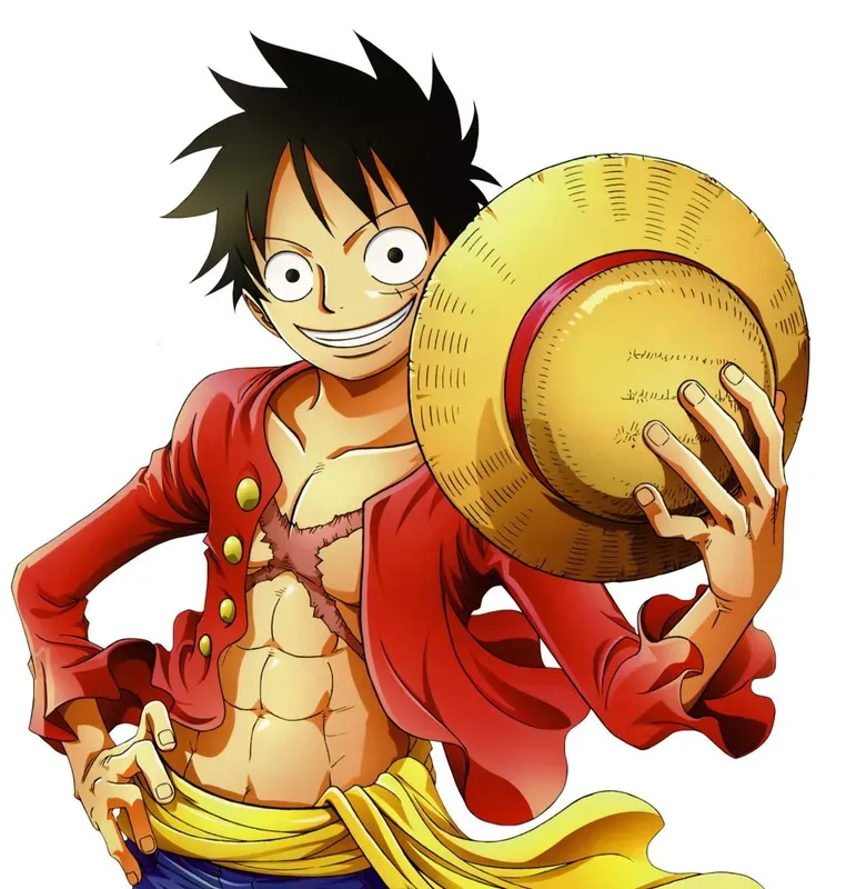 Hình ảnh Luffy  17