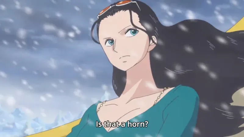 Ảnh Nico Robin ngầu 28