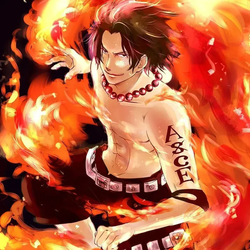 Portgas D. Ace 5