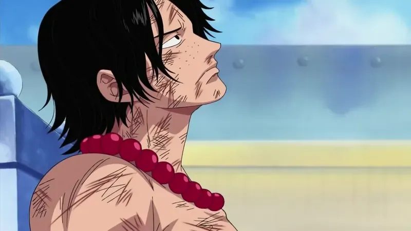 Portgas D. Ace 6