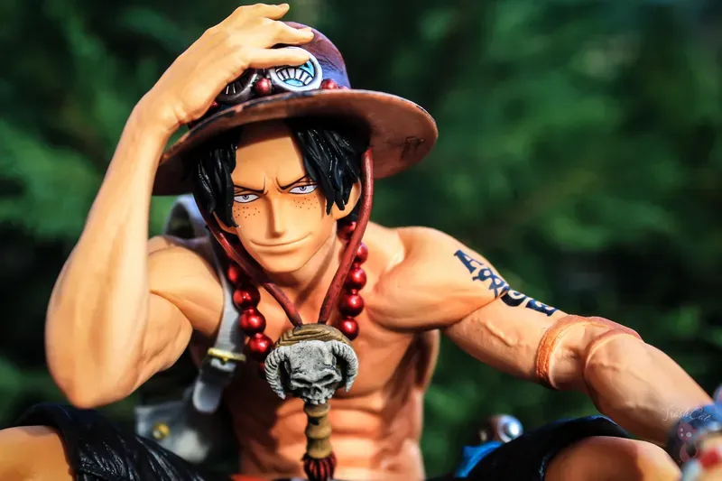 Portgas D. Ace 9