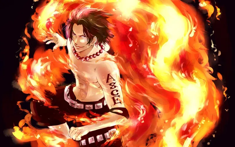 Portgas D. Ace 9