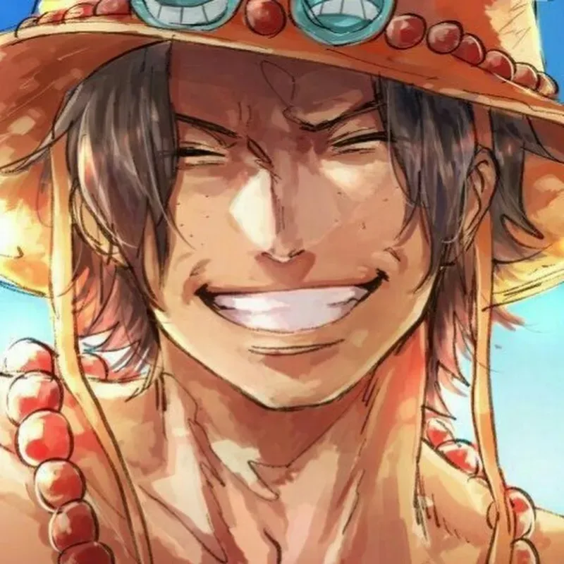 Portgas D. Ace 24
