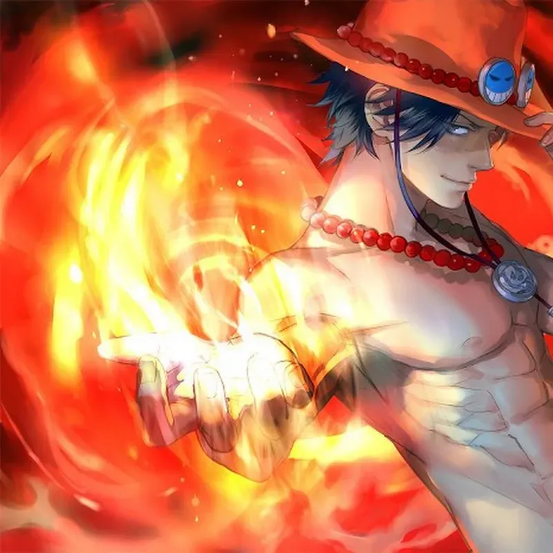 Portgas D. Ace 25