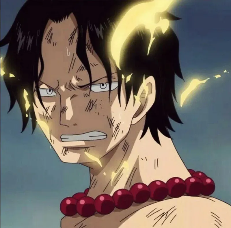 Portgas D. Ace 28