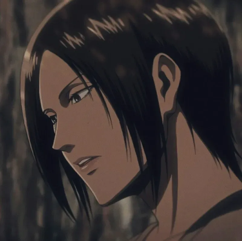 ảnh ymir 1