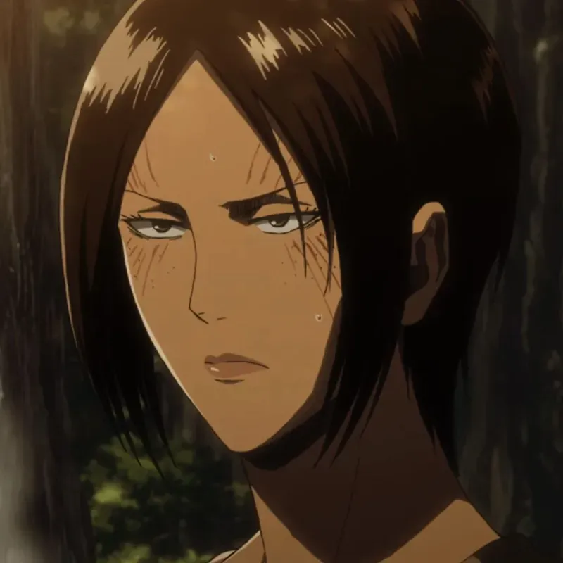 ảnh ymir 15