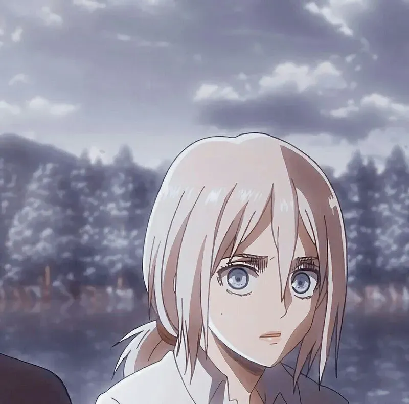 ảnh ymir 24