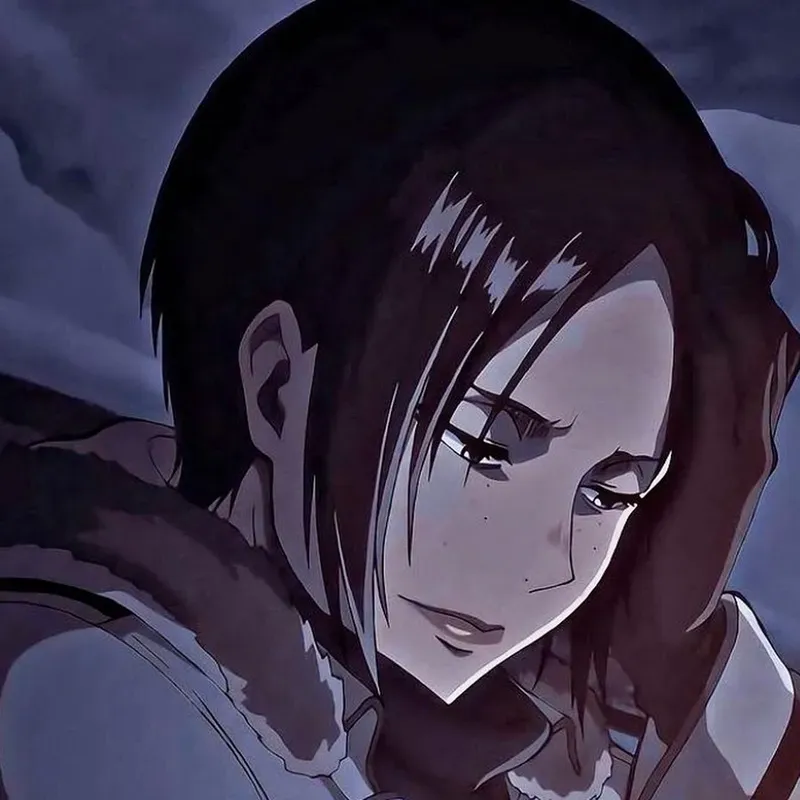 ảnh ymir 28