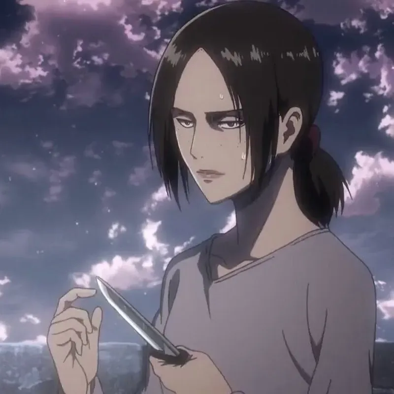 ảnh ymir 44