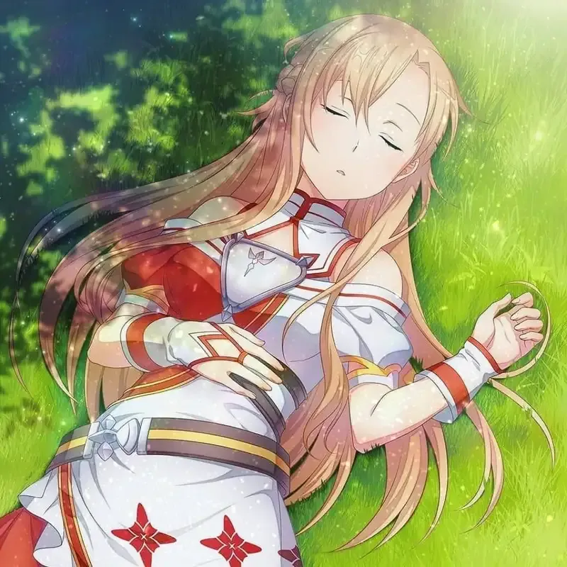 Ảnh Asuna 12
