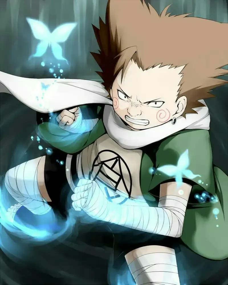 ảnh Choji Akimichi 15