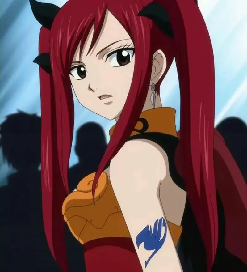 ảnh Erza Scarlet 22