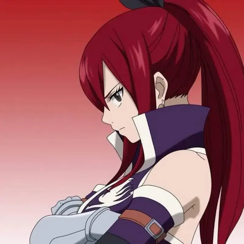 ảnh Erza Scarlet 28