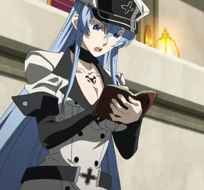 Ảnh Esdeath 27