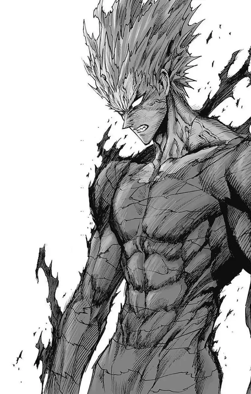 ảnh Garou 24