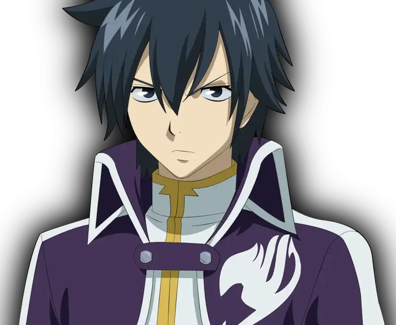 Ảnh Gray Fullbuster 1