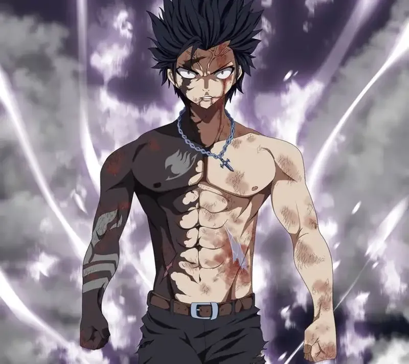 Ảnh Gray Fullbuster 11