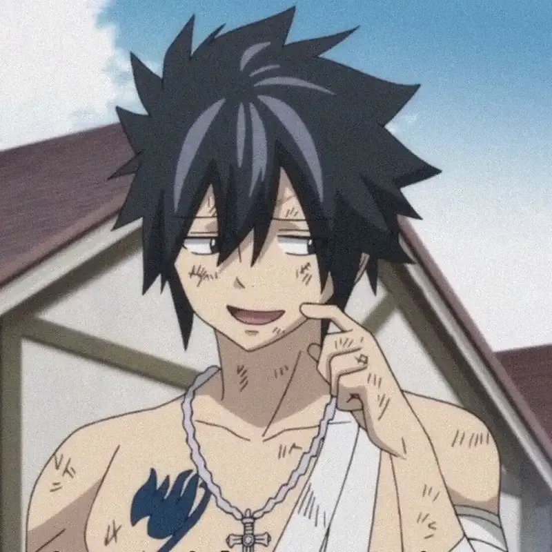 Ảnh Gray Fullbuster 26
