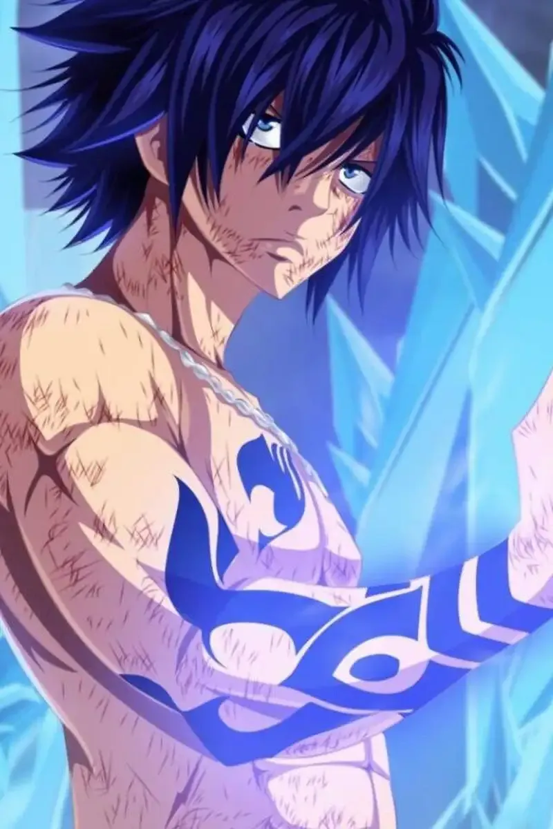 Ảnh Gray Fullbuster 38