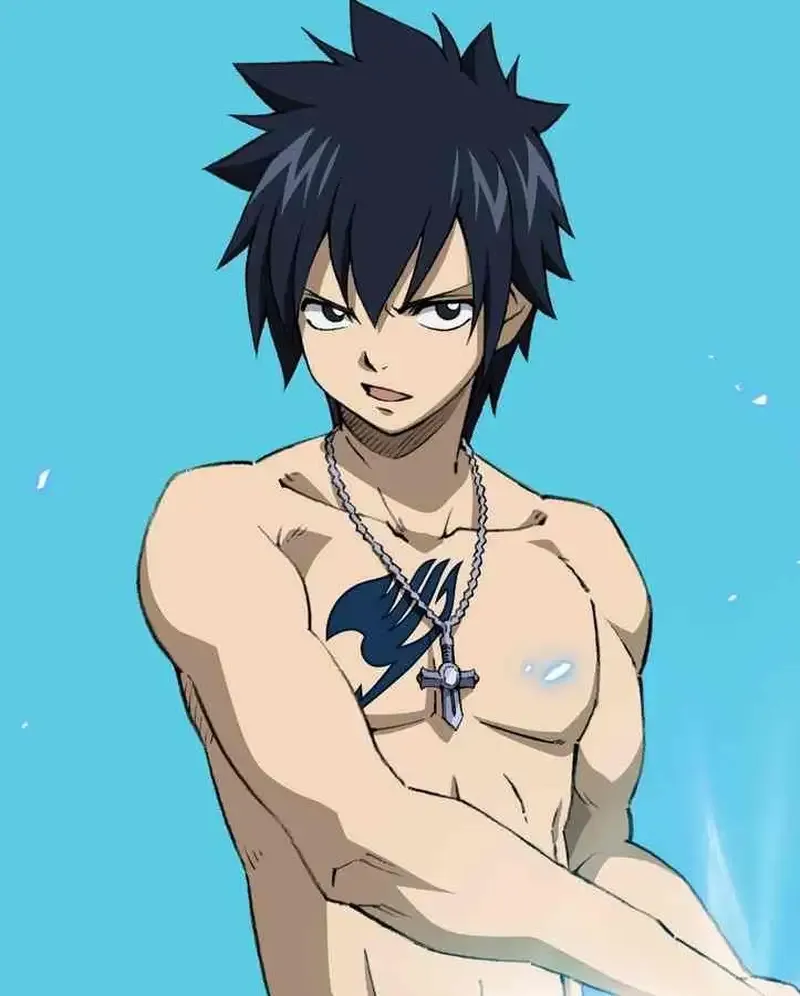 Ảnh Gray Fullbuster 39