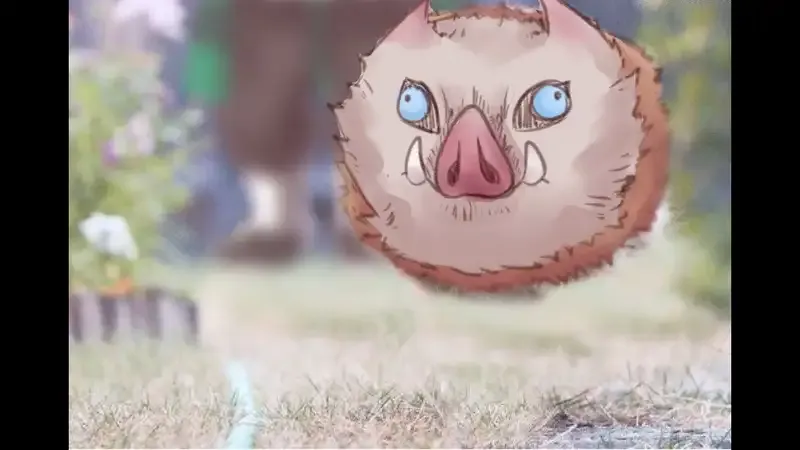 Hình ảnh Hashibira Inosuke cute nhất 14