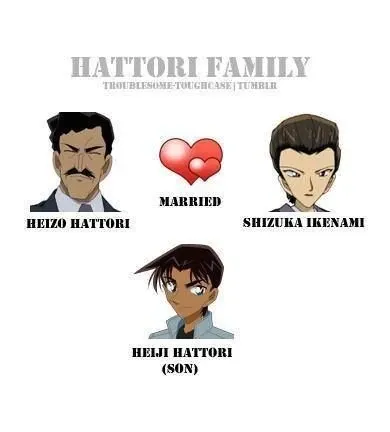 Heizo Hattrori 30