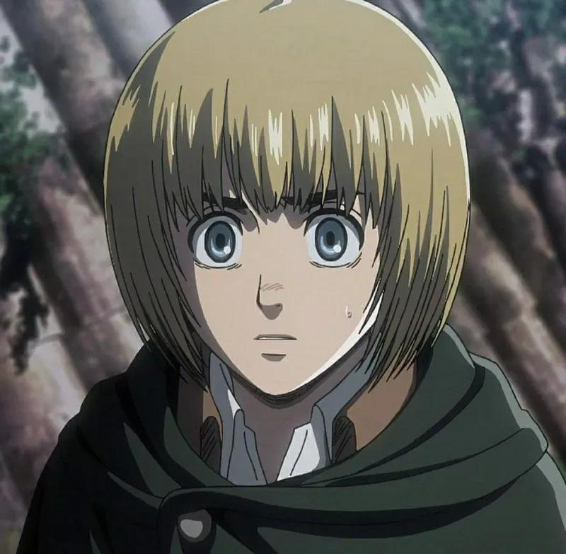 Ảnh Armin Arlert  1